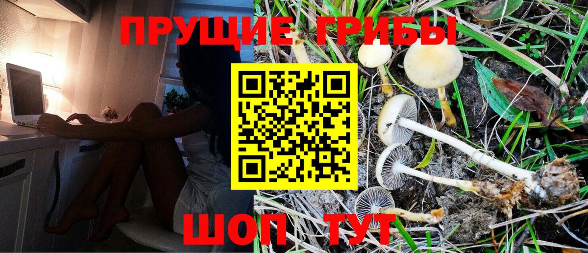 дарнет шоп  Галлюциногенные грибы Psilocybe  Урай  Вход с VPN  Псилоцибиновые грибы Cubensis 
